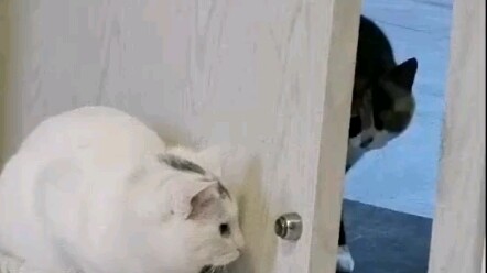 Berwajah menyeramkan