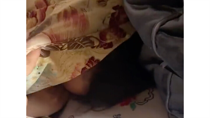 Adik perempuan yang bersembunyi di balik selimut sambil menggigil!