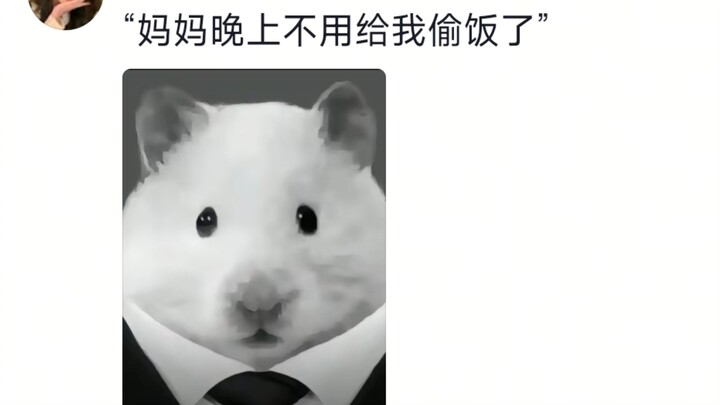 I’ve actually started feeling pity for mice!