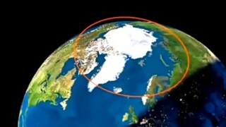 Nếu tôi trồng hoa hướng dương ở đây, liệu tôi có bị siết cổ đến chết không?