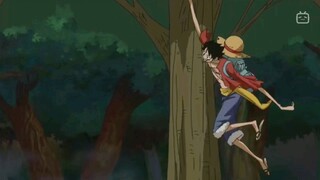 luffy became tarzan