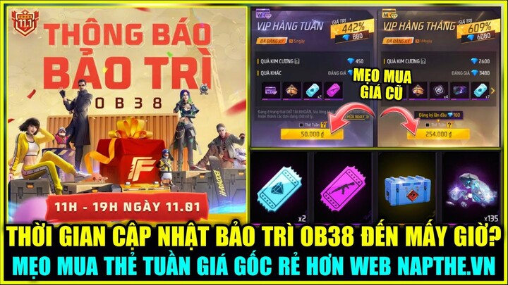 (Free Fire) Thời Gian Bảo Trì Cập Nhật OB38 Đến Mấy Giờ? Mẹo Mua Thẻ Tuần Giá Gốc Rẻ Hơn WEB Nạp Thẻ