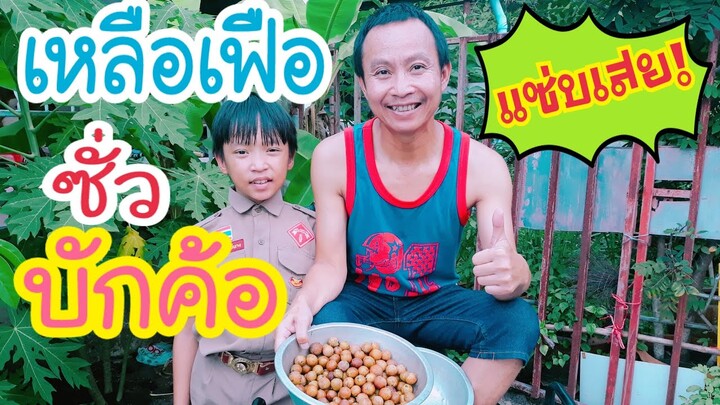 เหลือเฟือทำซั่วบักค้อ