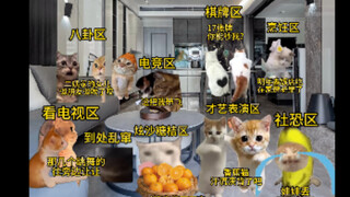 几个星期后的我家