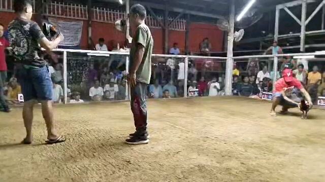 2hits champion