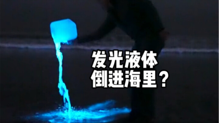 ของเหลวเรืองแสงที่คนคนนี้เทลงในมหาสมุทรคืออะไรกันแน่? แท้จริงแล้วมันคือสิ่งมีชีวิตเซลล์เดียวที่เรียก