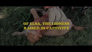 BORN FREE (New and Exclusive) Trailer Watch For Free Link In Descreption