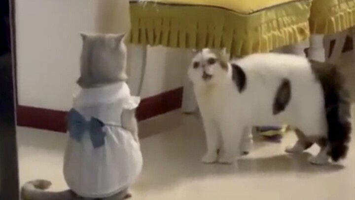 Cậu竟然是穿着我的衣服，睡在我男人的床上？？！！