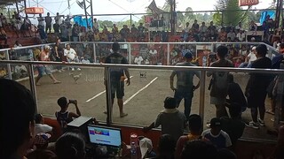 Sabungan Ng MASA 4