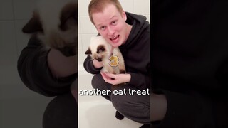 Every Sub = 1 Treat For My Cat
