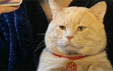 ที่แท้ความไม่สบายใจทำให้ดูแก่จริงๆ นะ