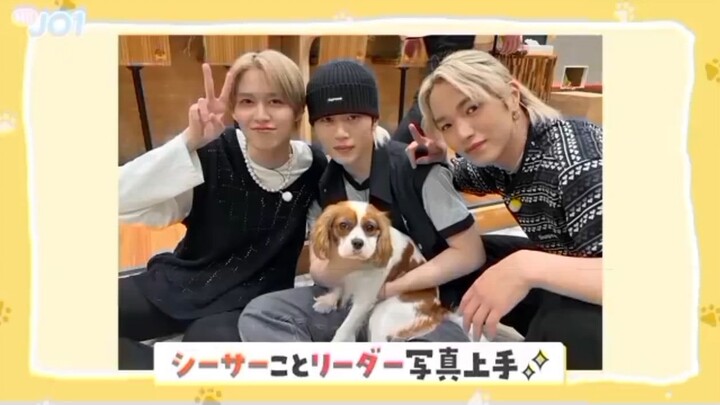 JO1 WITH DOGS