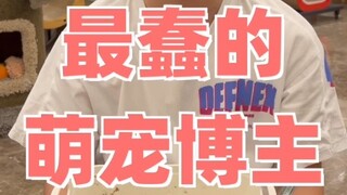 Goodbye, my 8-year-old cute-pet blogger journey!