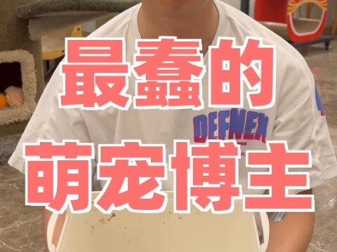 Goodbye, my 8-year-old cute-pet blogger journey!