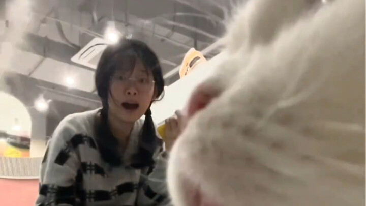 Menarik, aku hampir meledak tertawa