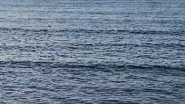 laut