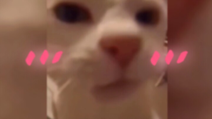 Hanya bisa menciummu sekali dengan cara seperti ini (〃∀〃