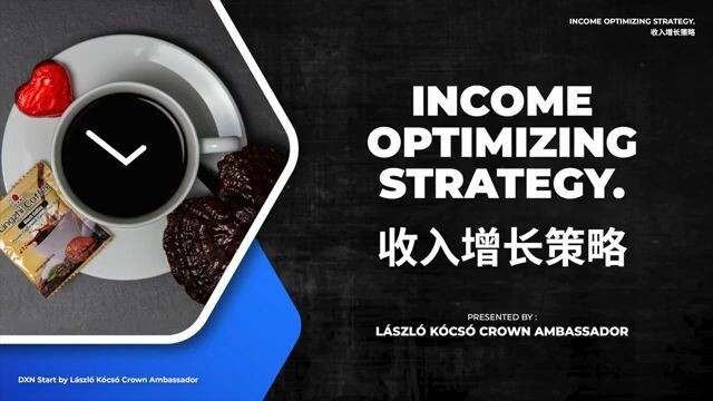 4.收入增长策略