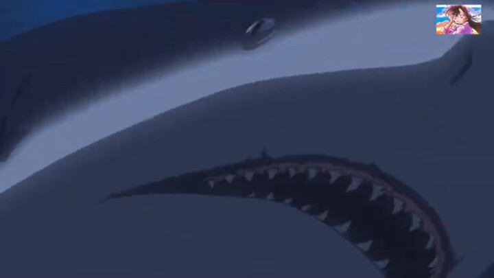 Ran Mouri berduel dengan hiu?! Menyelamatkan Sonoko
