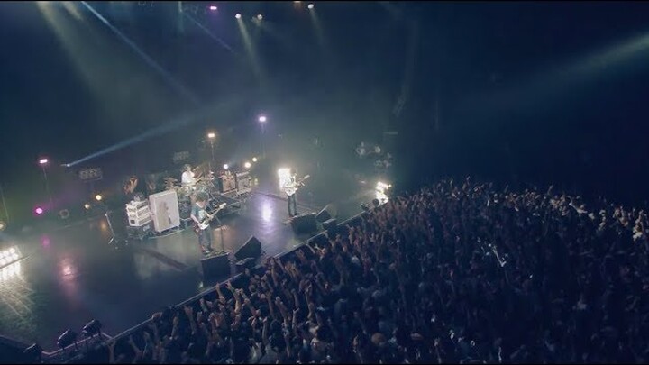 UNISON SQUARE GARDEN「シュガーソングとビターステップ」LIVE MUSIC VIDEO