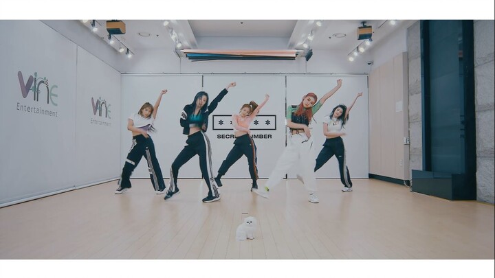 Secret Number - 'Privacy' Dance Practice Mirrored [Full Version] | Kpop