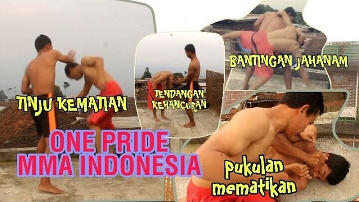 MMA UFC INDONESIA FIGHTER 2020 - Parodi Mma