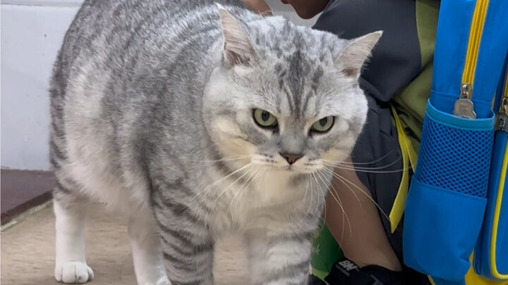 Baru saja pulang sekolah, si adik langsung diganggu terus oleh si Abang Gede minta jajan.