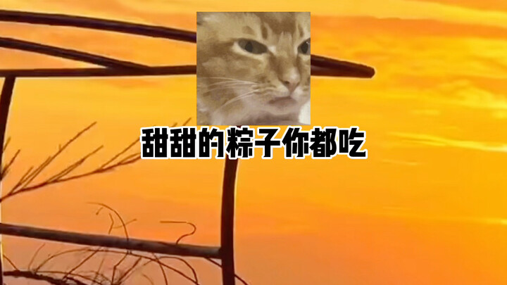 Sending this to my friend who loves sweet zongzi, hahaha!