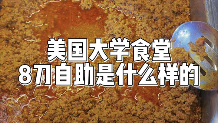 What’s an $8 Buffet Like at a U.S. University Cafeteria | I Ate Tacos Today