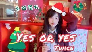 [Christmas Gift] "Yes or yes" | Here's the energetic dance cover you've been asking for | Just danci
