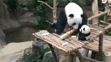 [Yiyi] Jarang-jarang Aku Mengupas Kulit Bambu, Yiyi Yang Sebentar Lagi Pulang, Ingat Jaga Diri Baik-baik Ya!