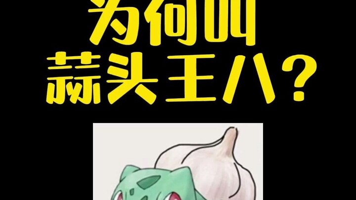 [ Pokémon ] Vì sao Bulbasaur lại được gọi là “rùa tỏi”?