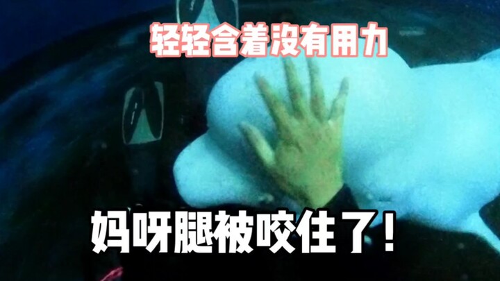 Dikejar dan digigit kaki oleh Liu Liu!