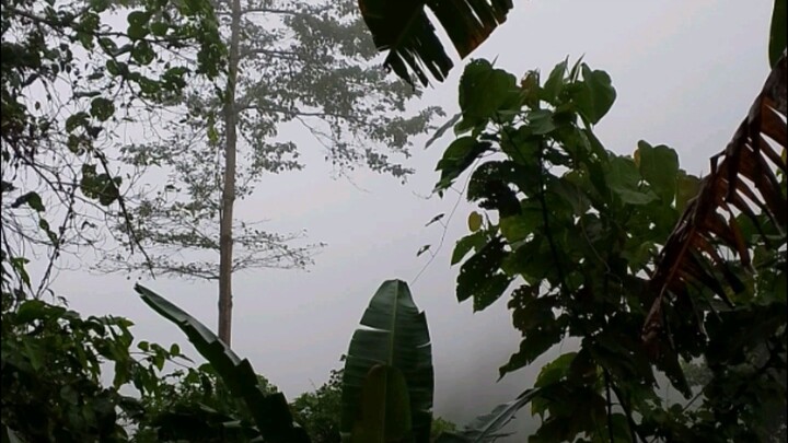 trail to Mt.Tilinis negros oriental