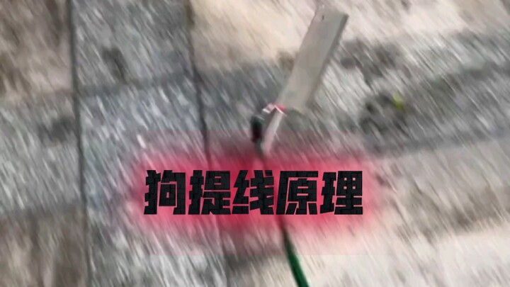 Hari ini cuacanya begitu hangat, ayo bawa pisauku keluar jalan-jalan sebentar!