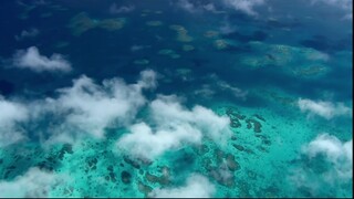 [Tập 2 - Thuyết Minh] Nhật bản hoang dã - Japan Earth's Enchanted Islands (2015) - Wild Japan E02