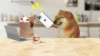 A woman will only bully the man who treats her best