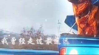 Even though the owner's luggage was full when he moved, he still left room for his dog