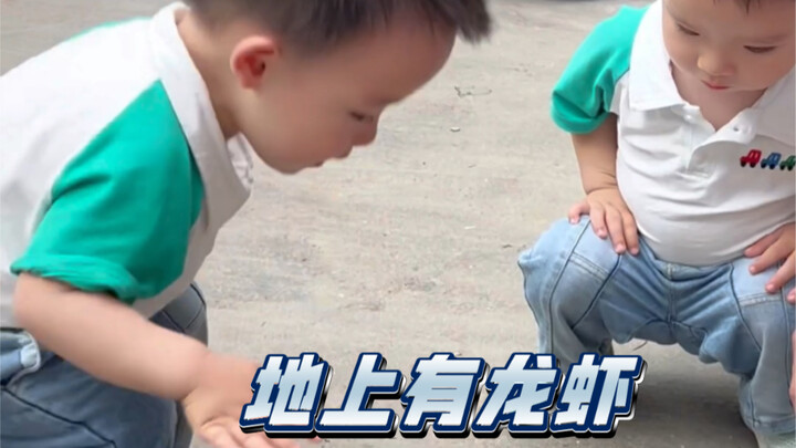 人类幼崽遇到龙虾，怎么会这么可爱呢？