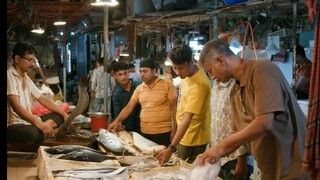 Bachelor point 5 EP-1
