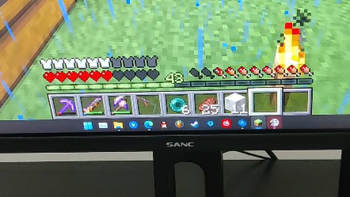 Idiot Craftsman Spirit