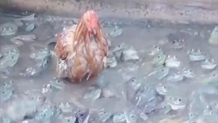 แล้วถ้าคนที่โดนรุมต่อยเป็นคุณล่ะ?