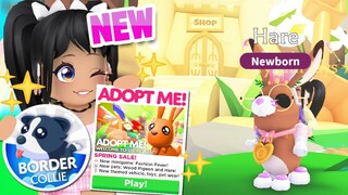 IT'S HERE 🌼SPRING FEST UPDATE🌼 in ADOPT ME (roblox)