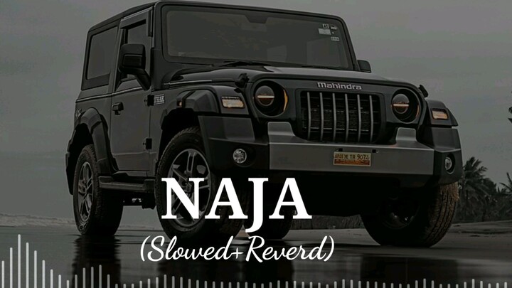 naja (slowed+reverd) | Punjabi song || slowed reverd by RG