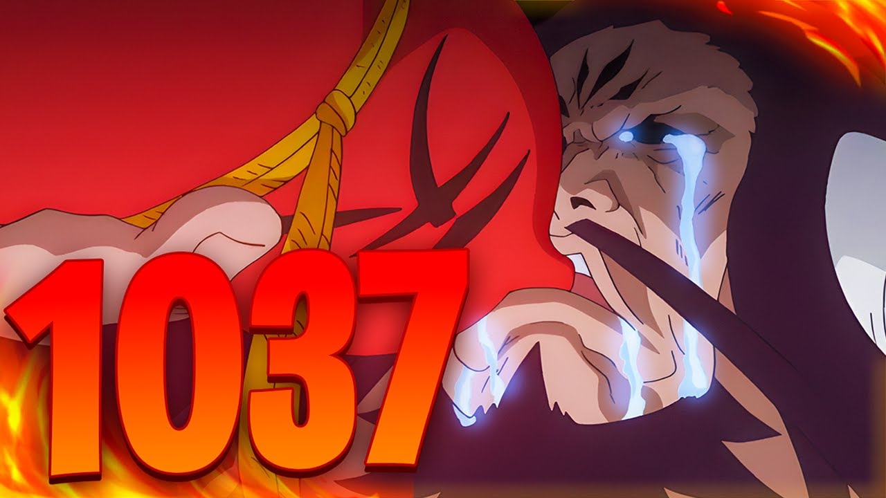 LUFFY YONKO LEVEL?!  One Piece Chapter 1026 - BiliBili