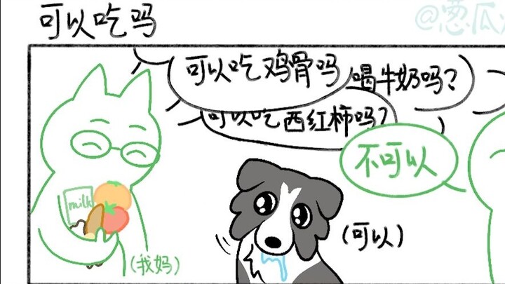 带狗回家，爸妈说得最多的话是：