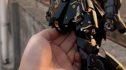 I really have no money left, so I bought it, Black Gold Kasha