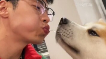 มีความสุขอีกแล้วพี่! (@_DanSheng_ เป็นแหล่งที่มาของคลิป) #ขำขัน #บันเทิง #หมา