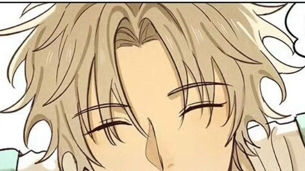 This is a story about me falling into a pile of cats