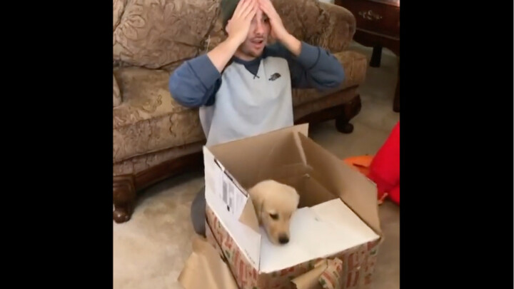 “小狗是最好的礼物！”